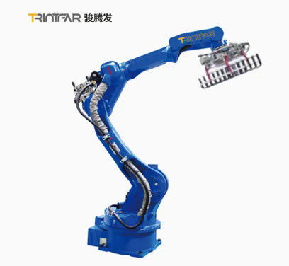 6 van het de Tangwapen van de asrobot het Behandelende Fladderende van de de Robotdoos de Verpakkingsrobot het Palletiseren Stapelen