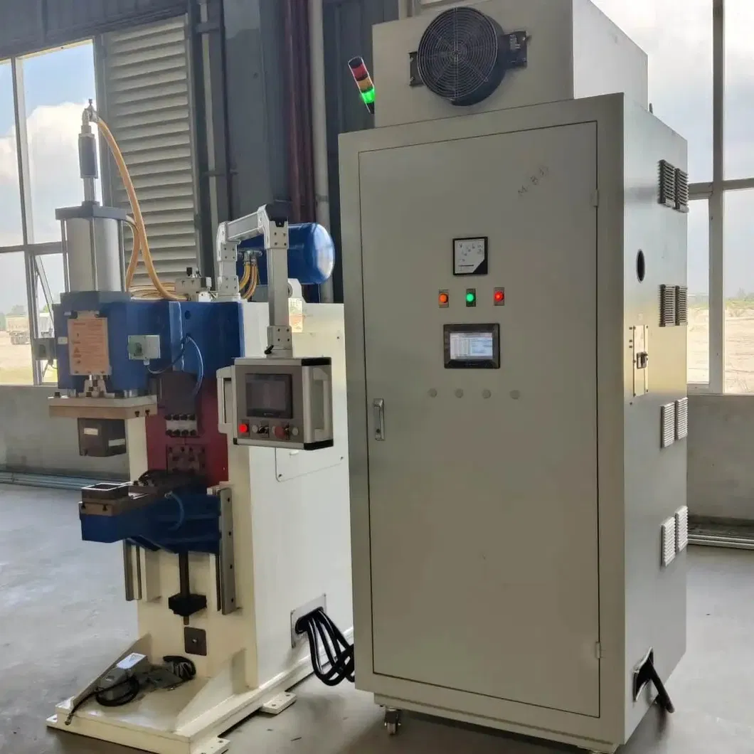 Productielijn voor schapgrill- en schalveringsmachines 8