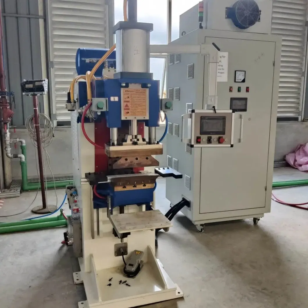 Productielijn voor schapgrill- en schalveringsmachines 6