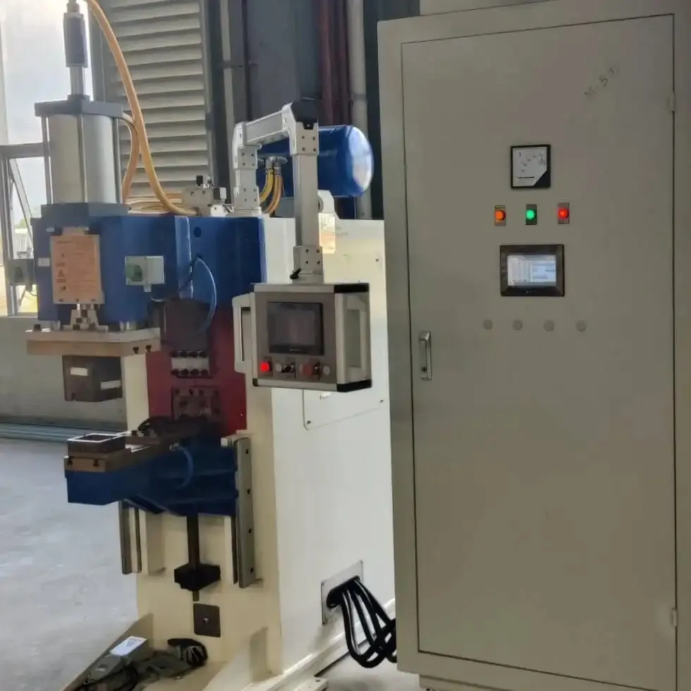 Productielijn voor schapgrill- en schalveringsmachines 10