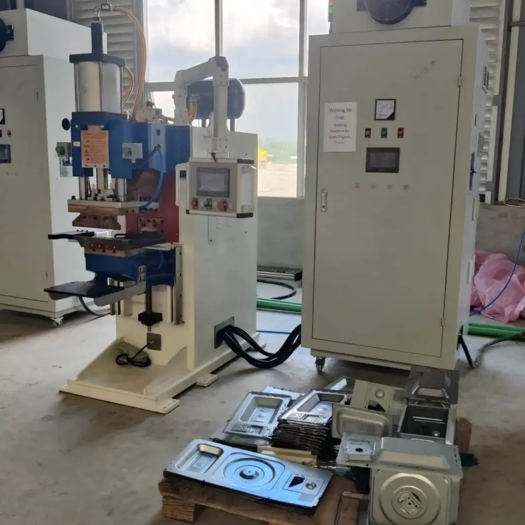 Productielijn voor schapgrill- en schalveringsmachines 12