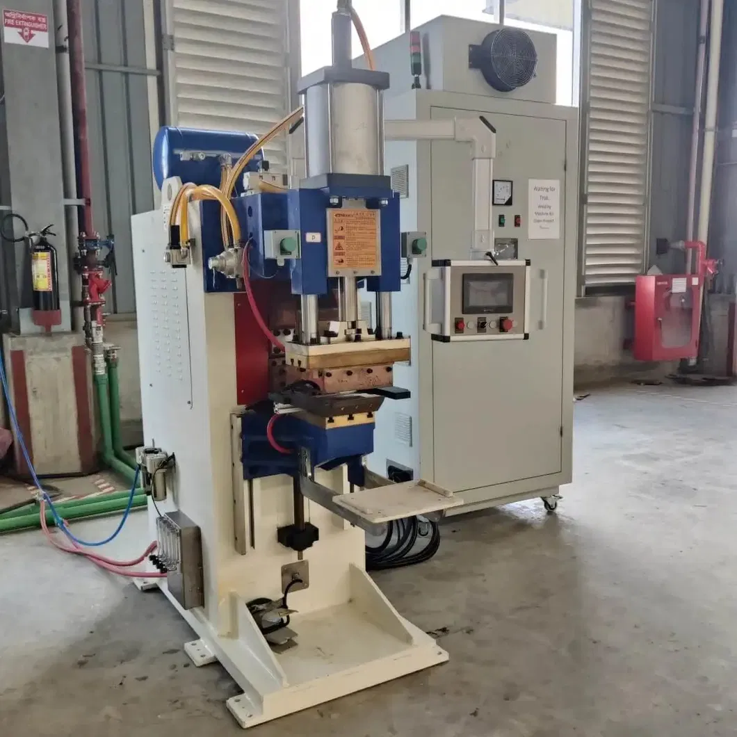 Productielijn voor schapgrill- en schalveringsmachines 14