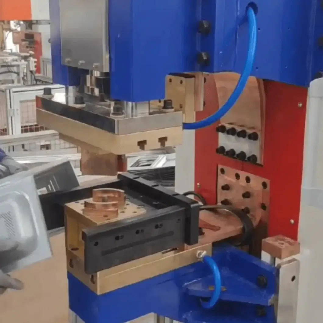 Productielijn voor schapgrill- en schalveringsmachines 16