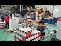 Industriële Palletiseren Stapelen Dragen Grijpen Zak Doos Pakket Robot Handling Robotarm